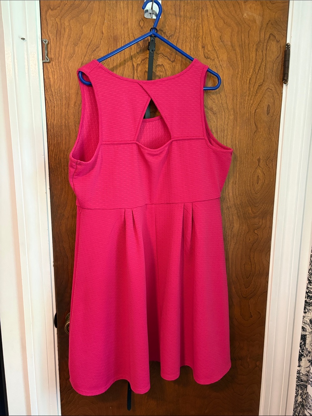Vintage Lane Bryant Hot Pink Sleeveless Fit-and-Flare Dress - Picture 3 of 3